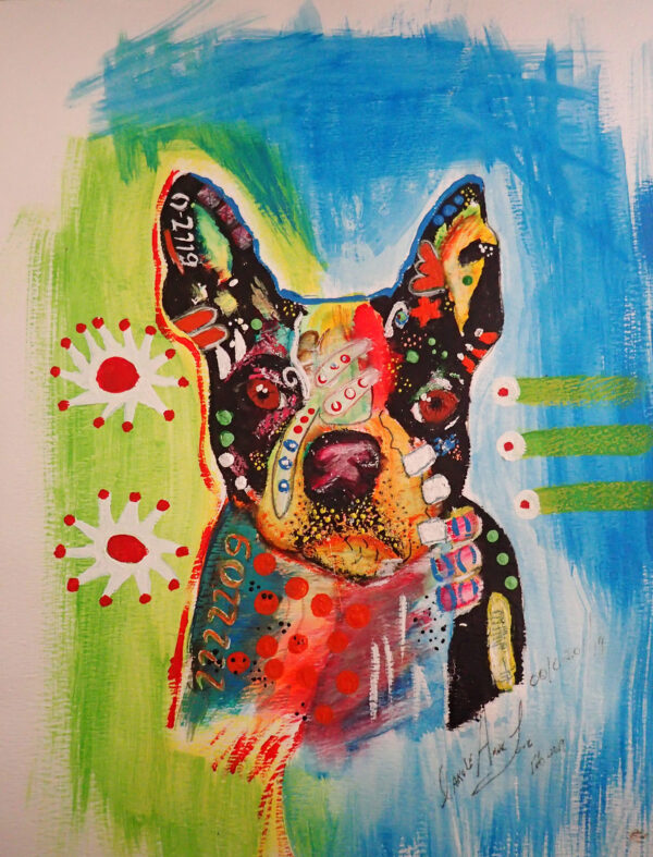 Boston Terrier Colorful Abstract Print Art Image