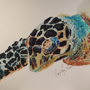 Turtle Colorful Abstract print Art Hawksbill Turtle Image