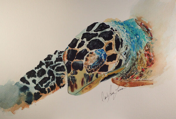 Turtle Colorful Abstract print Art Hawksbill Turtle Image